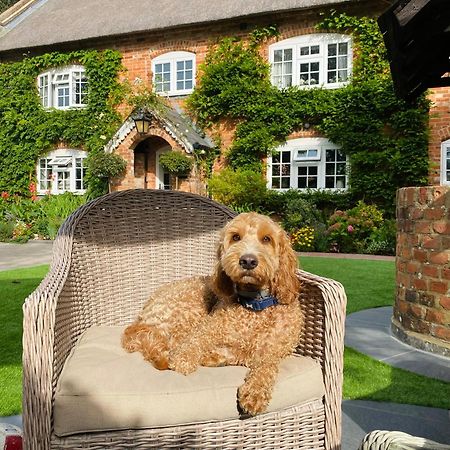Little Woodside A Beautiful New Forest Self Contained Private Luxury Annexe New Milton Eksteriør billede