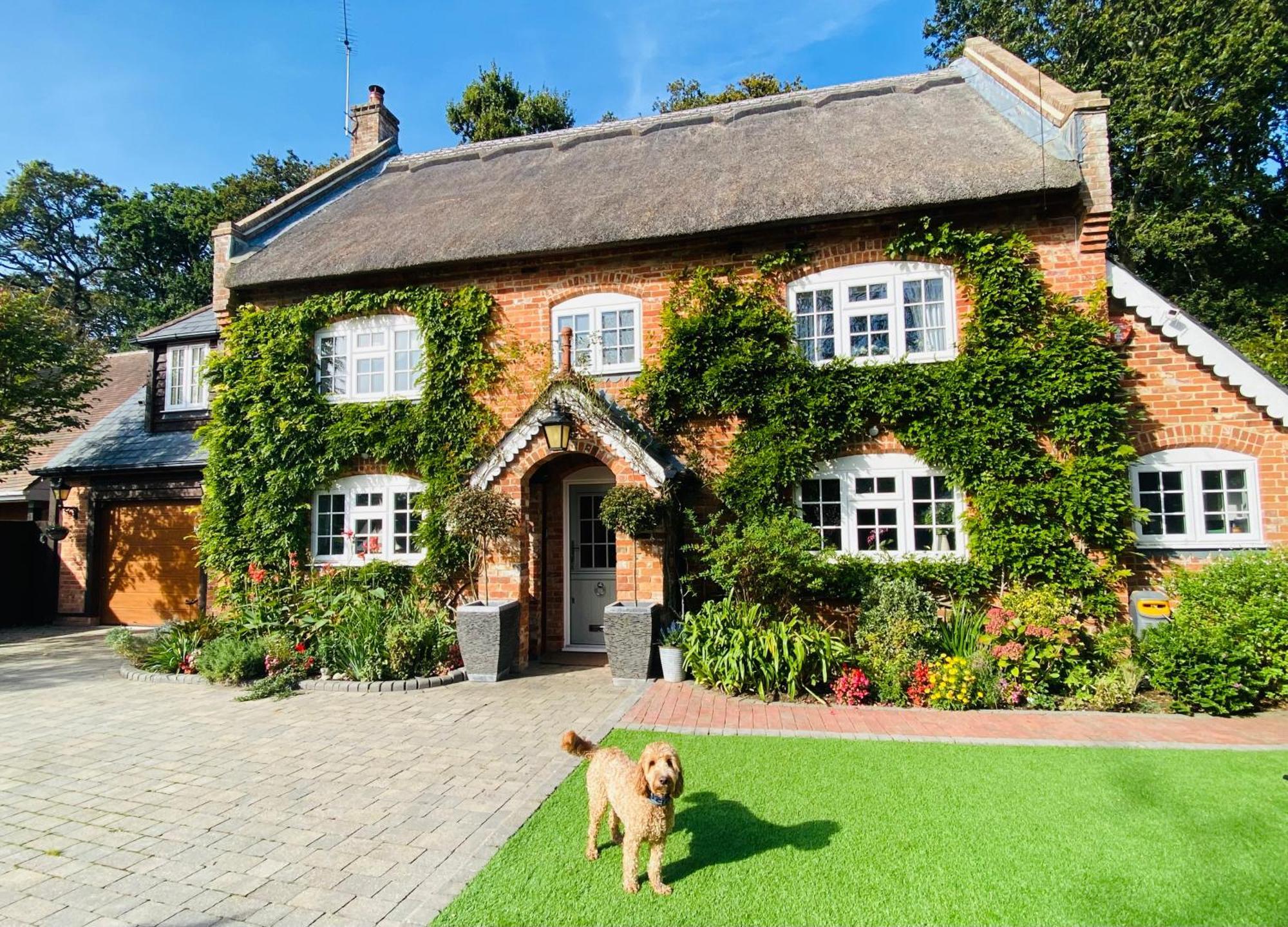 Little Woodside A Beautiful New Forest Self Contained Private Luxury Annexe New Milton Eksteriør billede
