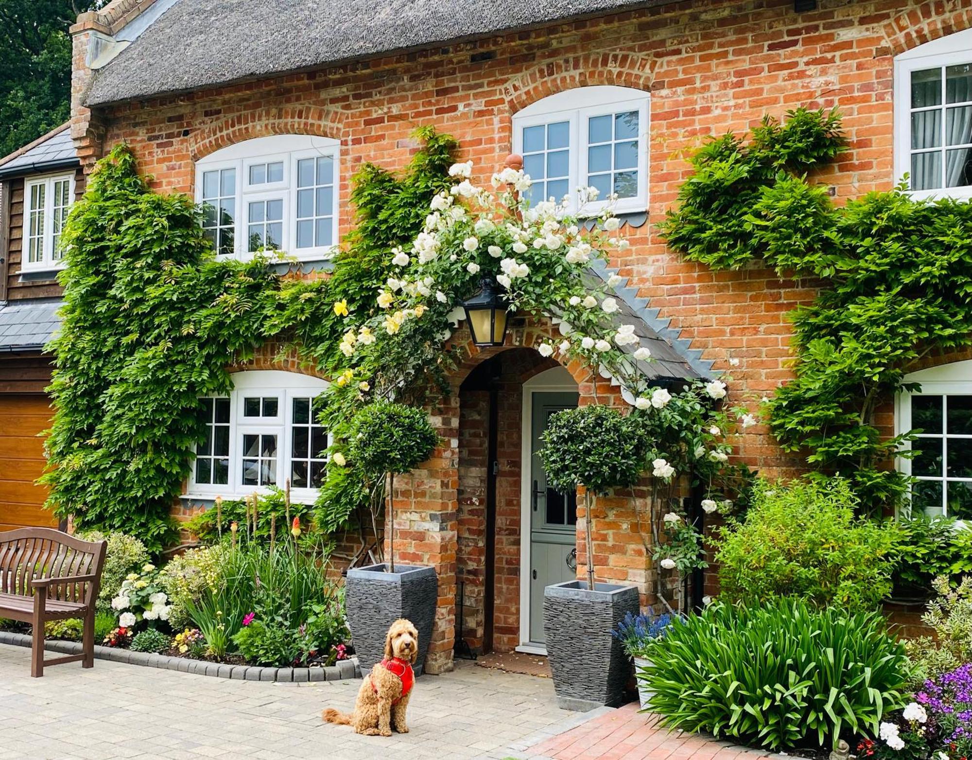 Little Woodside A Beautiful New Forest Self Contained Private Luxury Annexe New Milton Eksteriør billede
